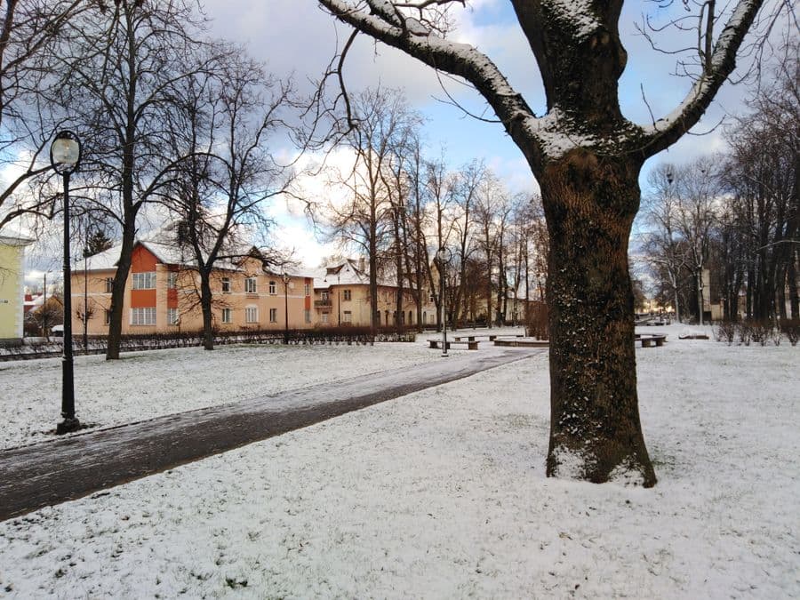 A snow-covered park path lined with bare trees on a winter day