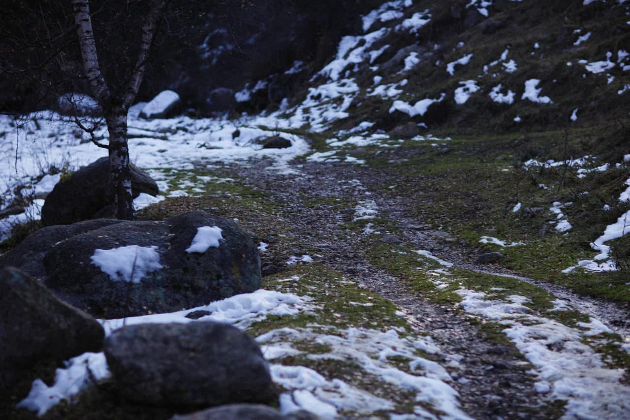 Melting snow and runoff at the edge of a path beside grass