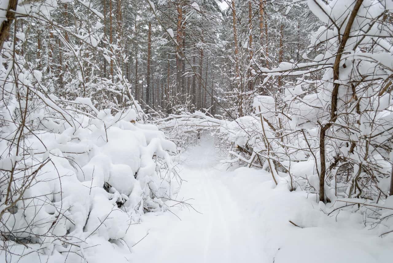 A gritted, sanded path across packed snow and ice