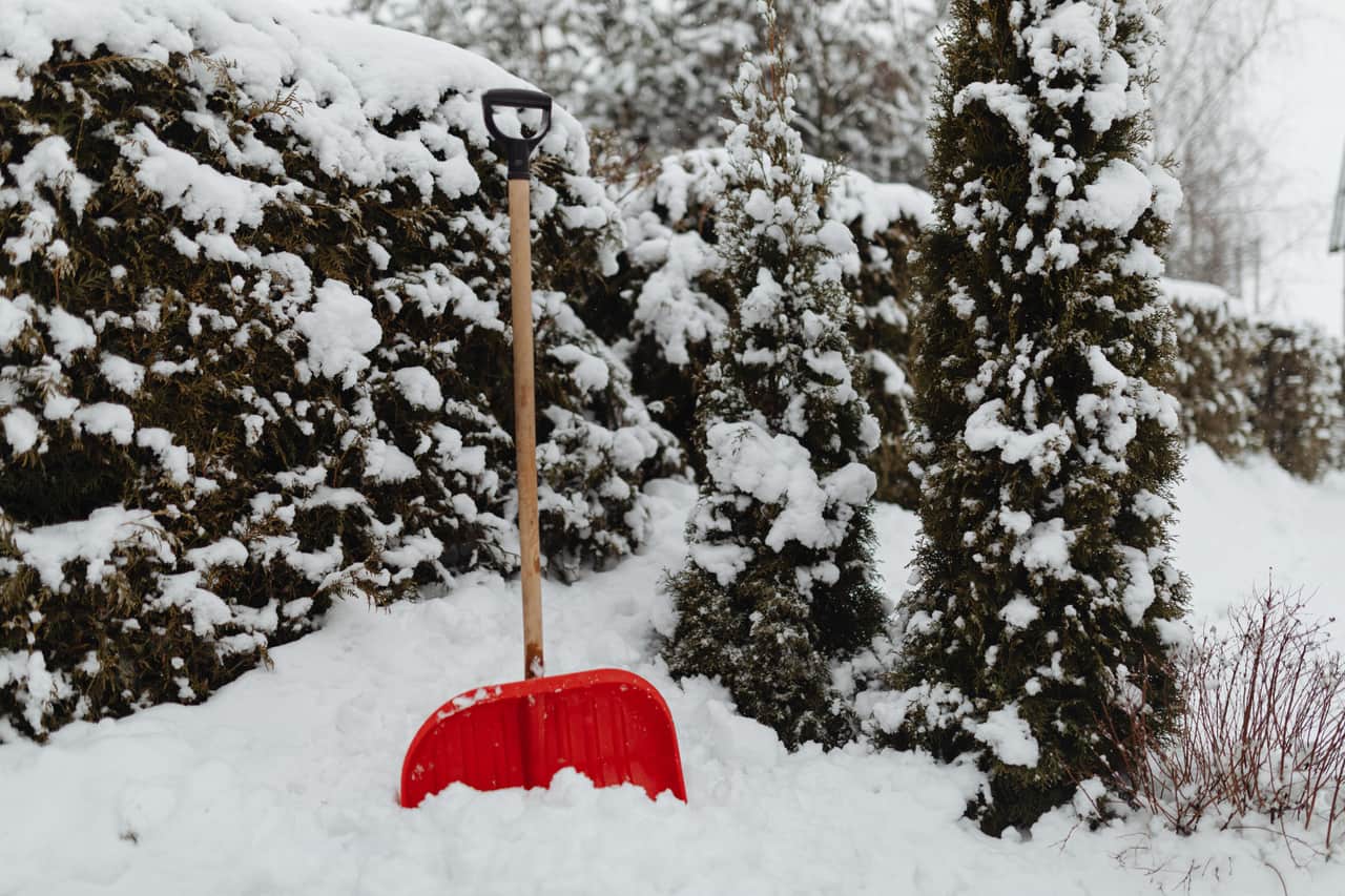 Close view of a snow shovel blade edge cutting into packed snow on pavement