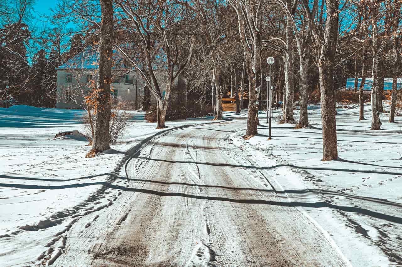 A cleared snowy path running between houses and trees in winter